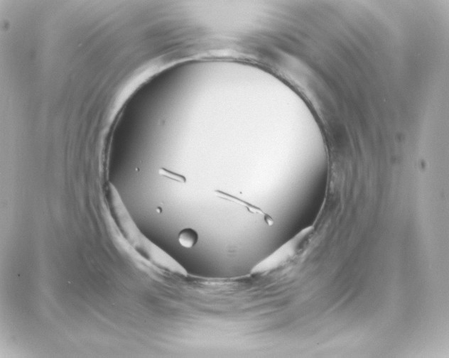 X0000087751483200705211025