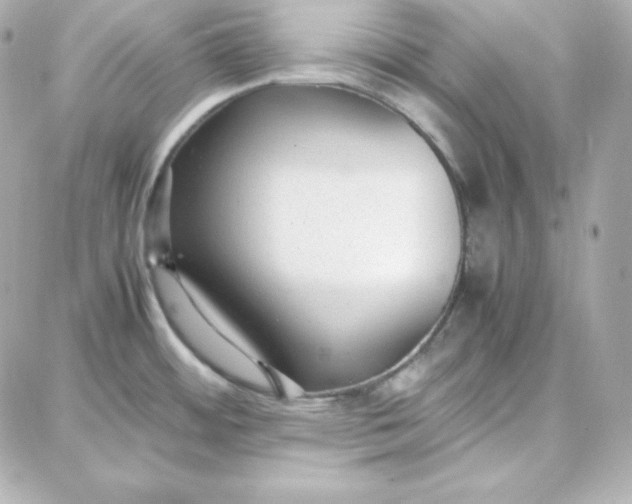 X0000087751484200705211025