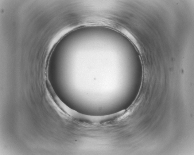 X0000087751485200705211025