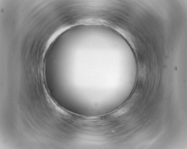 X0000087751486200705211025