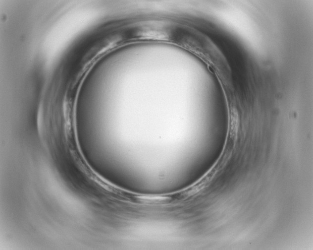 X0000087751487200705211025