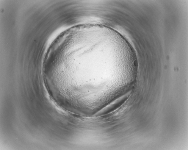 X0000087751488200705211025