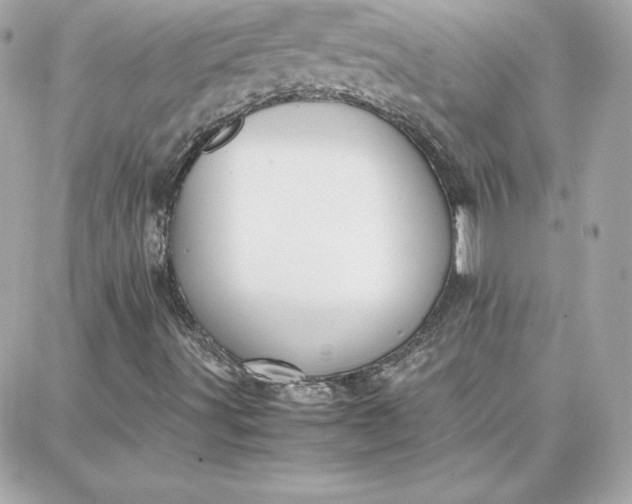 X0000087751491200705211024