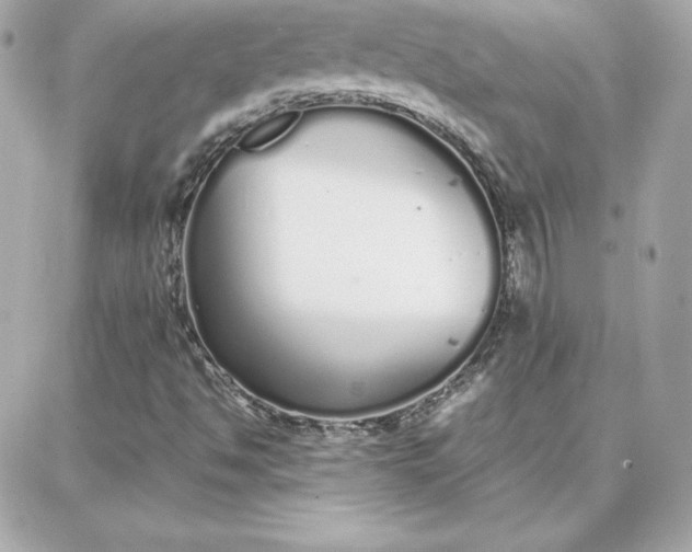 X0000087751494200705211024