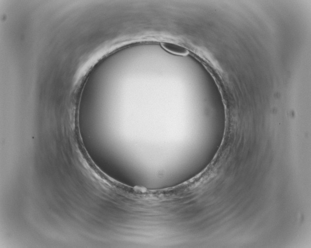 X0000087751504200705211024