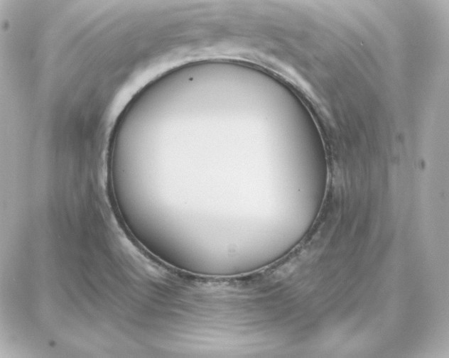 X0000087751512200705211024