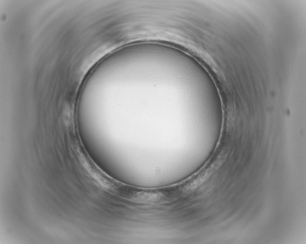 X0000087751513200705211024