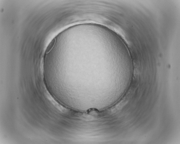 X0000087751516200705211024