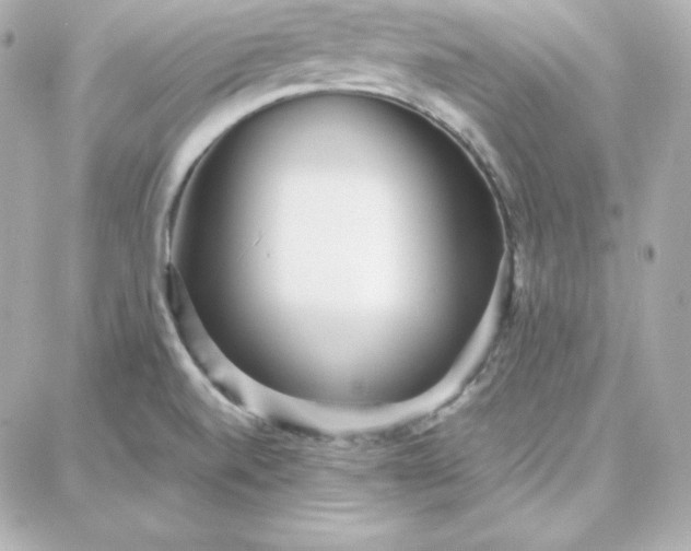 X0000087751520200705211024