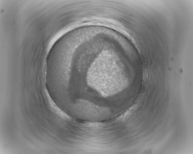 X0000087751522200705211024