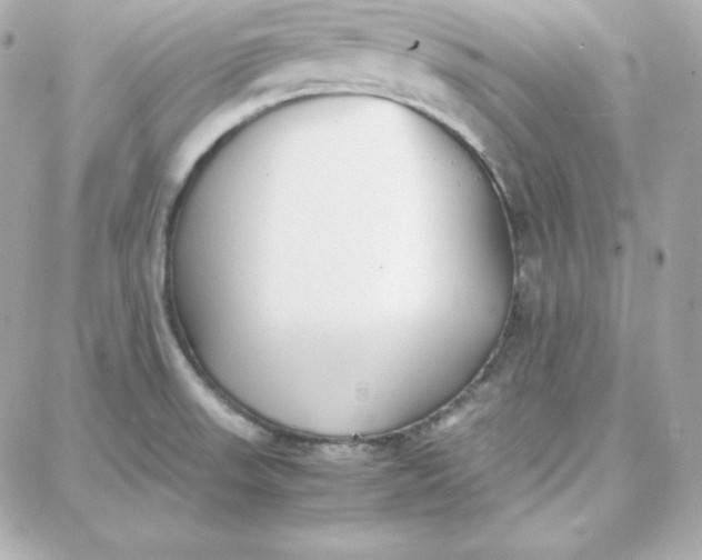 X0000087751523200705211024