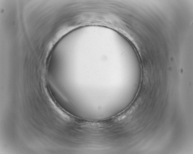 X0000087751525200705211024