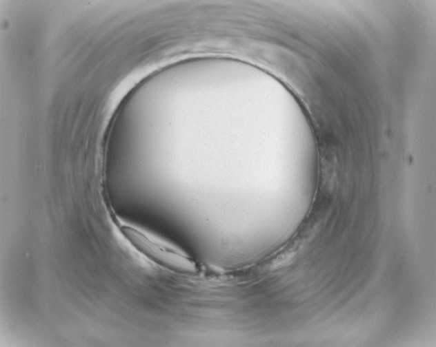 X0000087751527200705211024