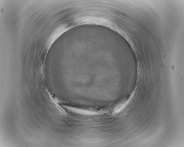 X0000087751529200705211025