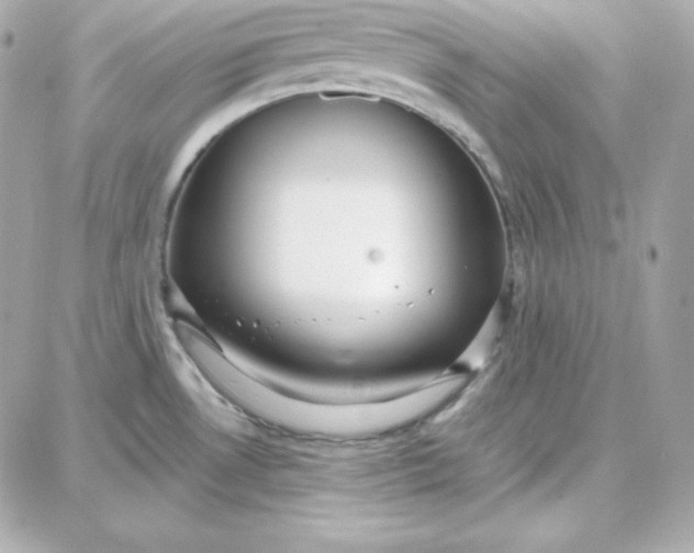 X0000087751530200705211025