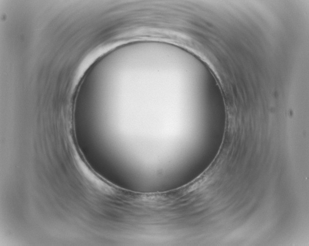 X0000087751531200705211025