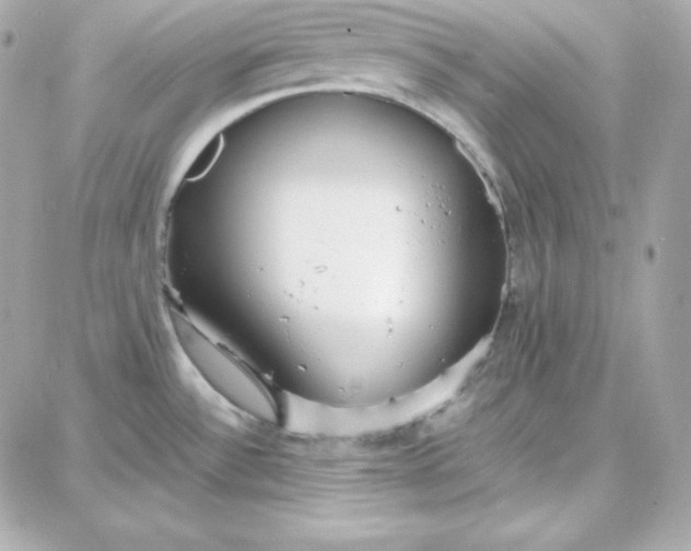 X0000087751532200705211025