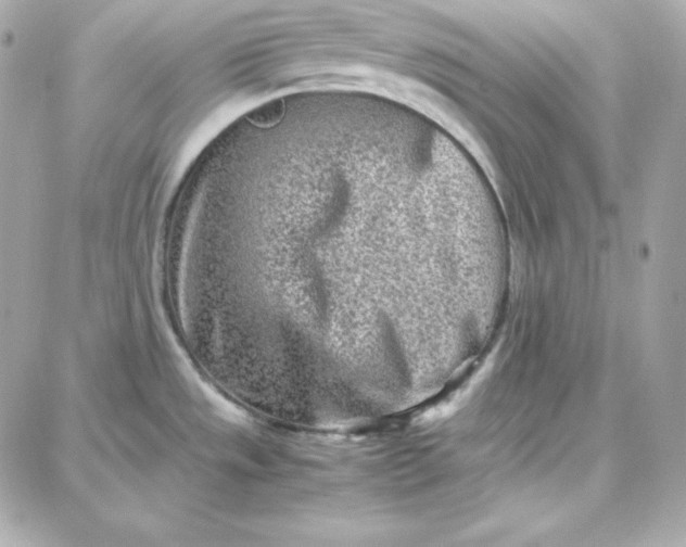 X0000087751533200705211025