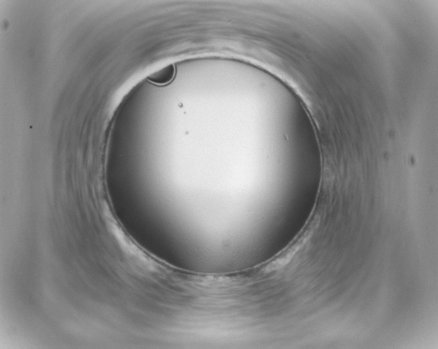 X0000087751534200705211025