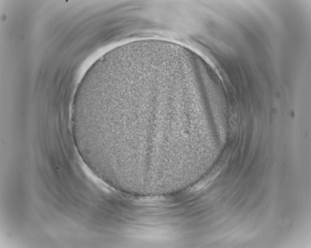 X0000087751535200705211025