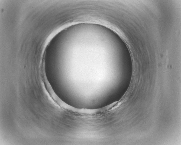 X0000087751536200705211025