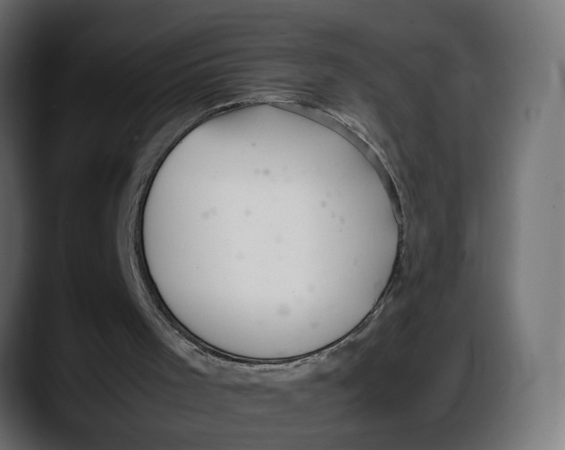 X0000087750001200705291043