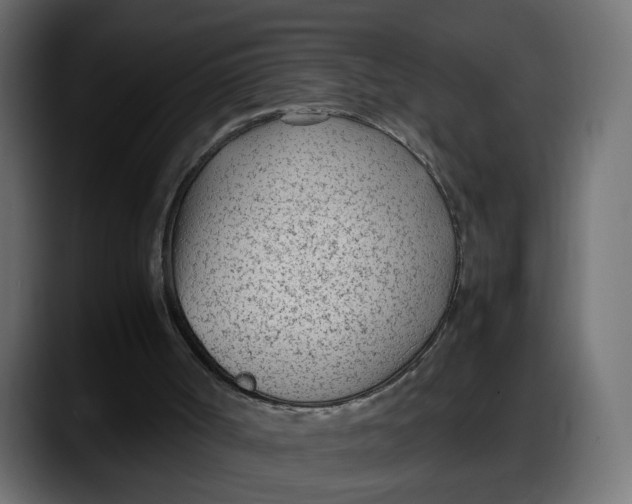 X0000087750002200705291043