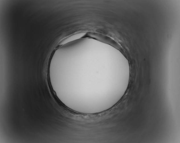 X0000087750003200705291043