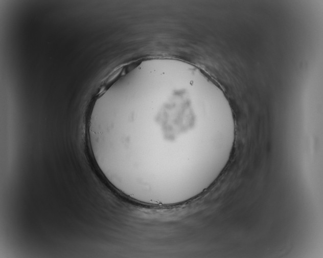 X0000087750005200705291043