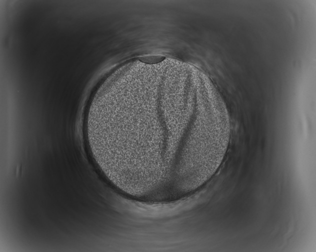 X0000087750006200705291043