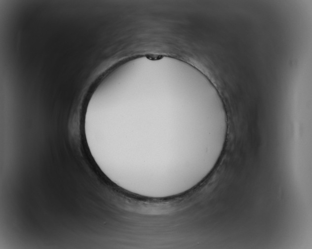 X0000087750008200705291043