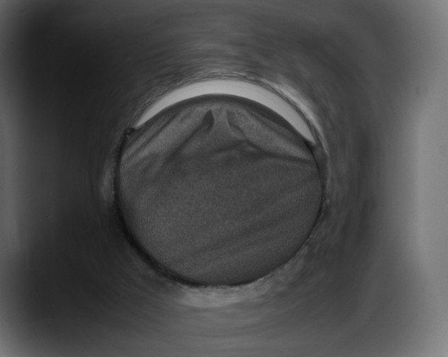 X0000087750009200705291043