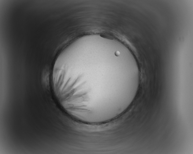 X0000087750010200705291043