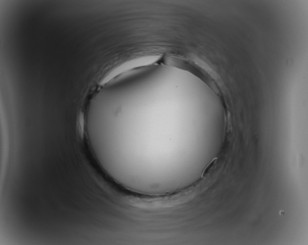 X0000087750013200705291043