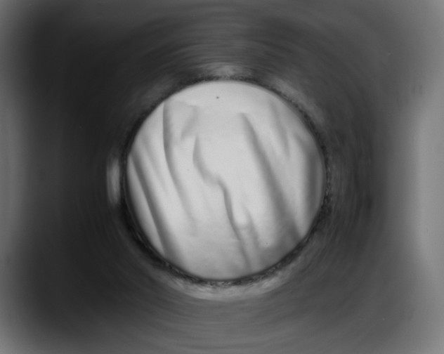 X0000087750014200705291043