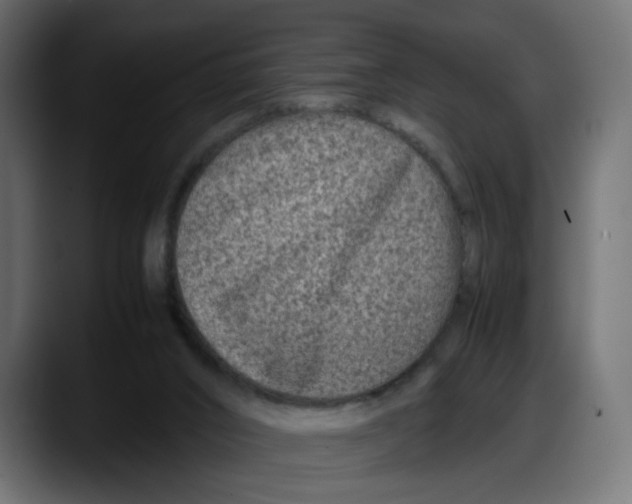 X0000087750016200705291043