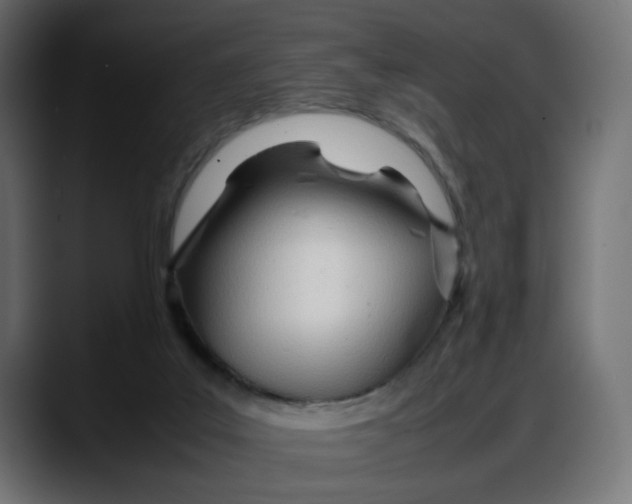 X0000087750019200705291043