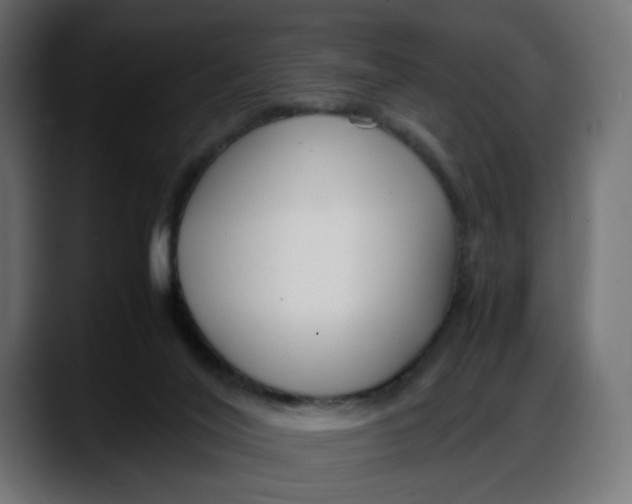 X0000087750020200705291043