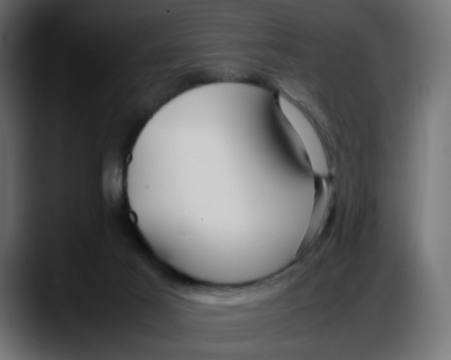 X0000087750021200705291043