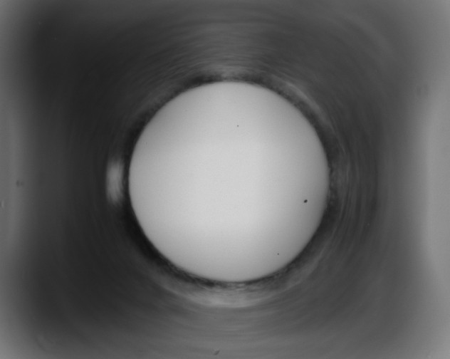 X0000087750024200705291043