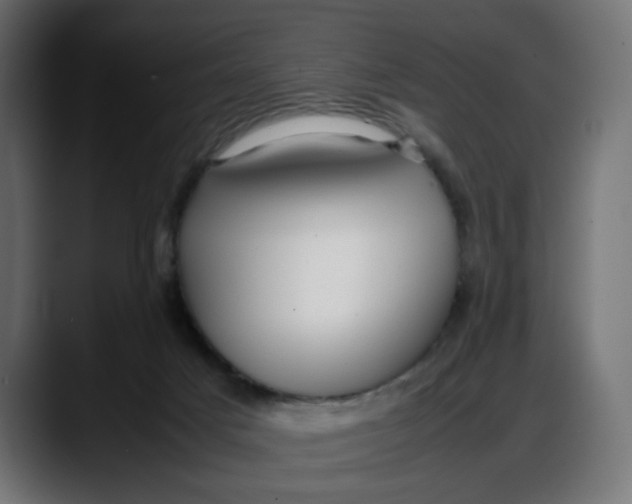 X0000087750025200705291042