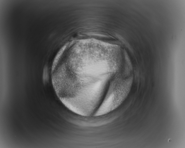 X0000087750026200705291042