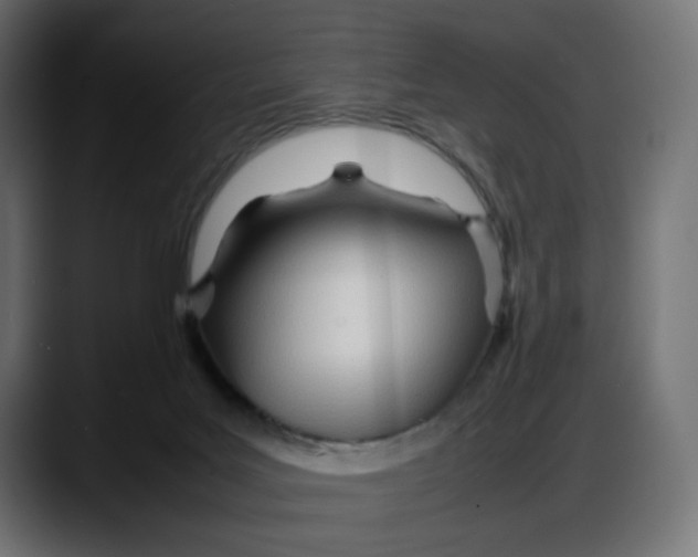 X0000087750027200705291042