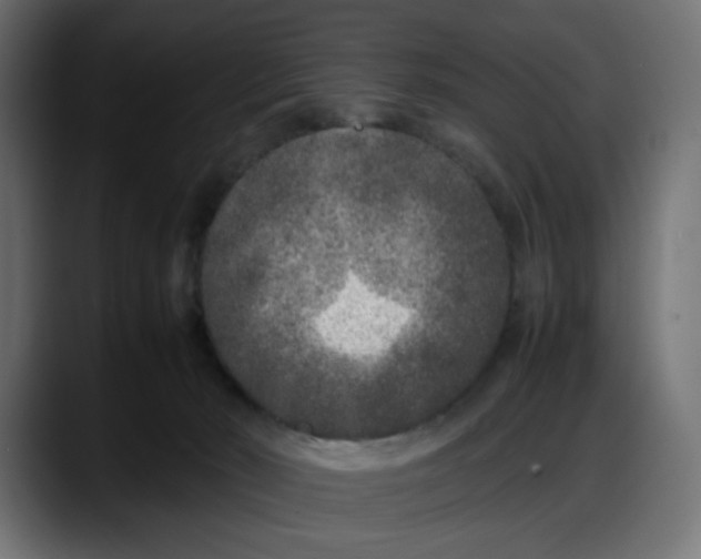 X0000087750030200705291042