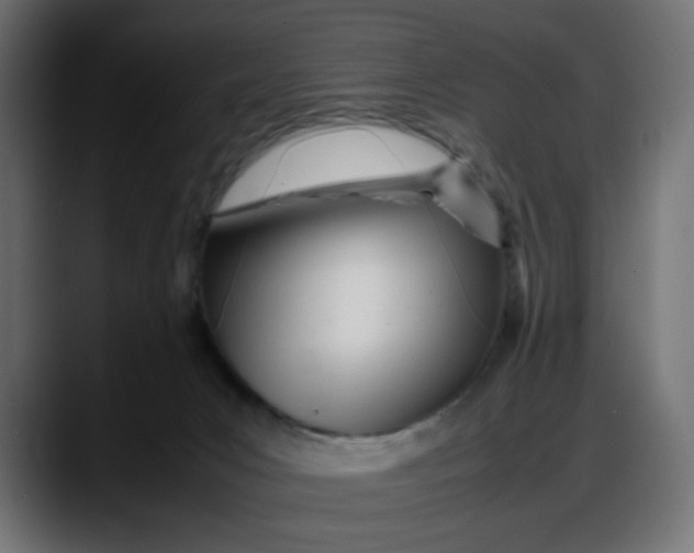 X0000087750031200705291042