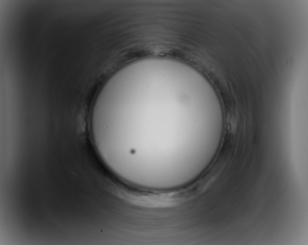 X0000087750032200705291042