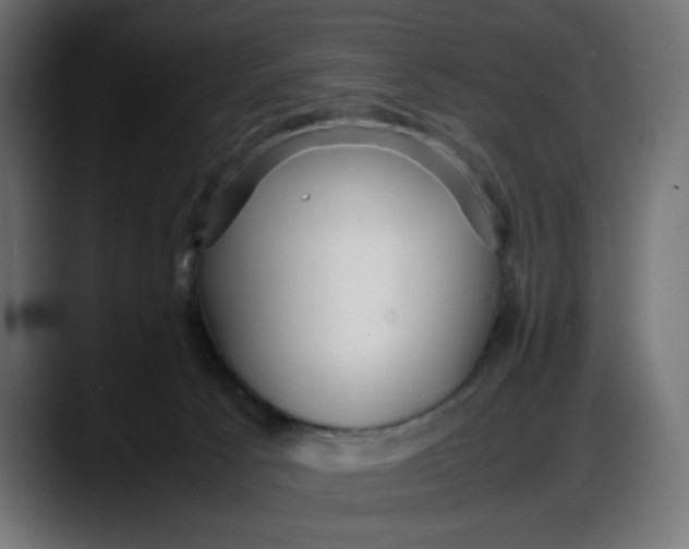 X0000087750033200705291042