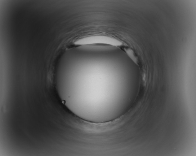 X0000087750035200705291042