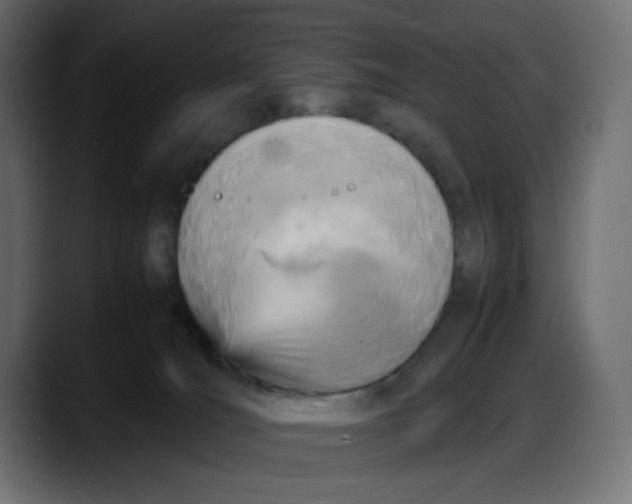 X0000087750036200705291042