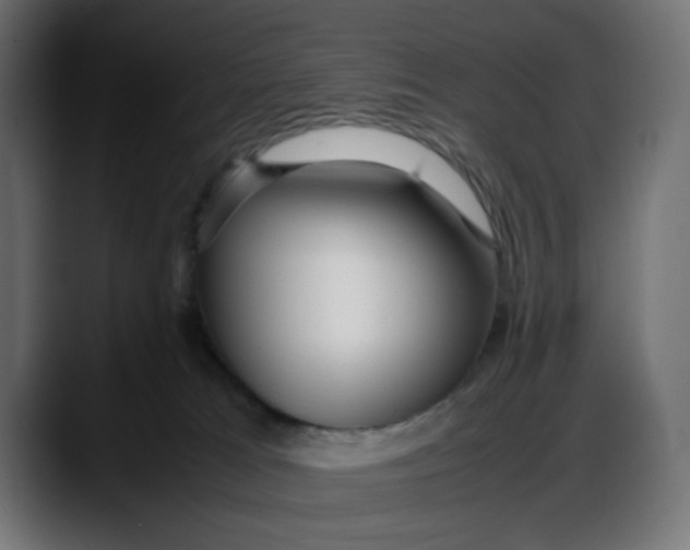 X0000087750037200705291042